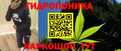 крисы Кандалакша