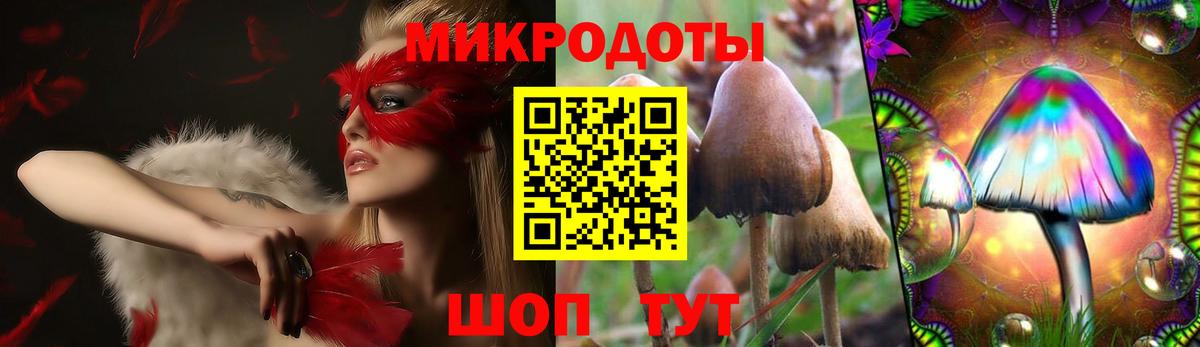 Костомукша  как найти закладки  Вход с VPN  Псилоцибиновые грибы мицелий 